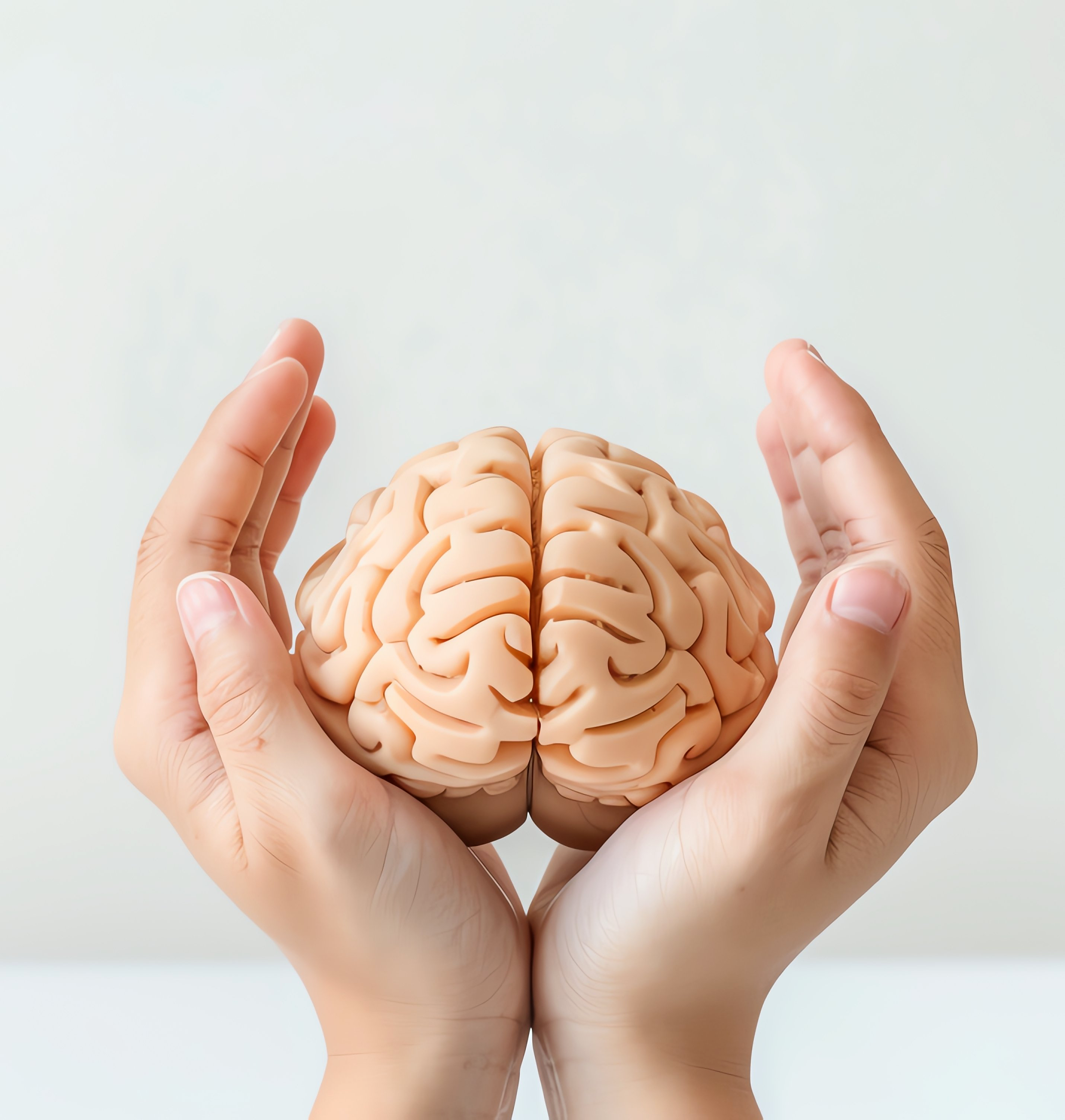Hands holding a brain model — Rewire CBT neurological well-being training